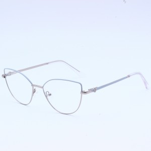 Confusaque Mixta Metal Optical Frames