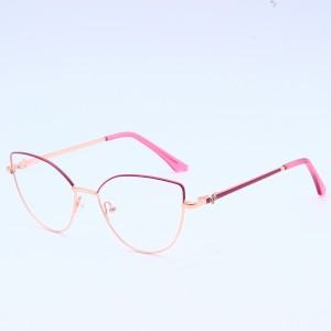 Confusaque Mixta Metal Optical Frames