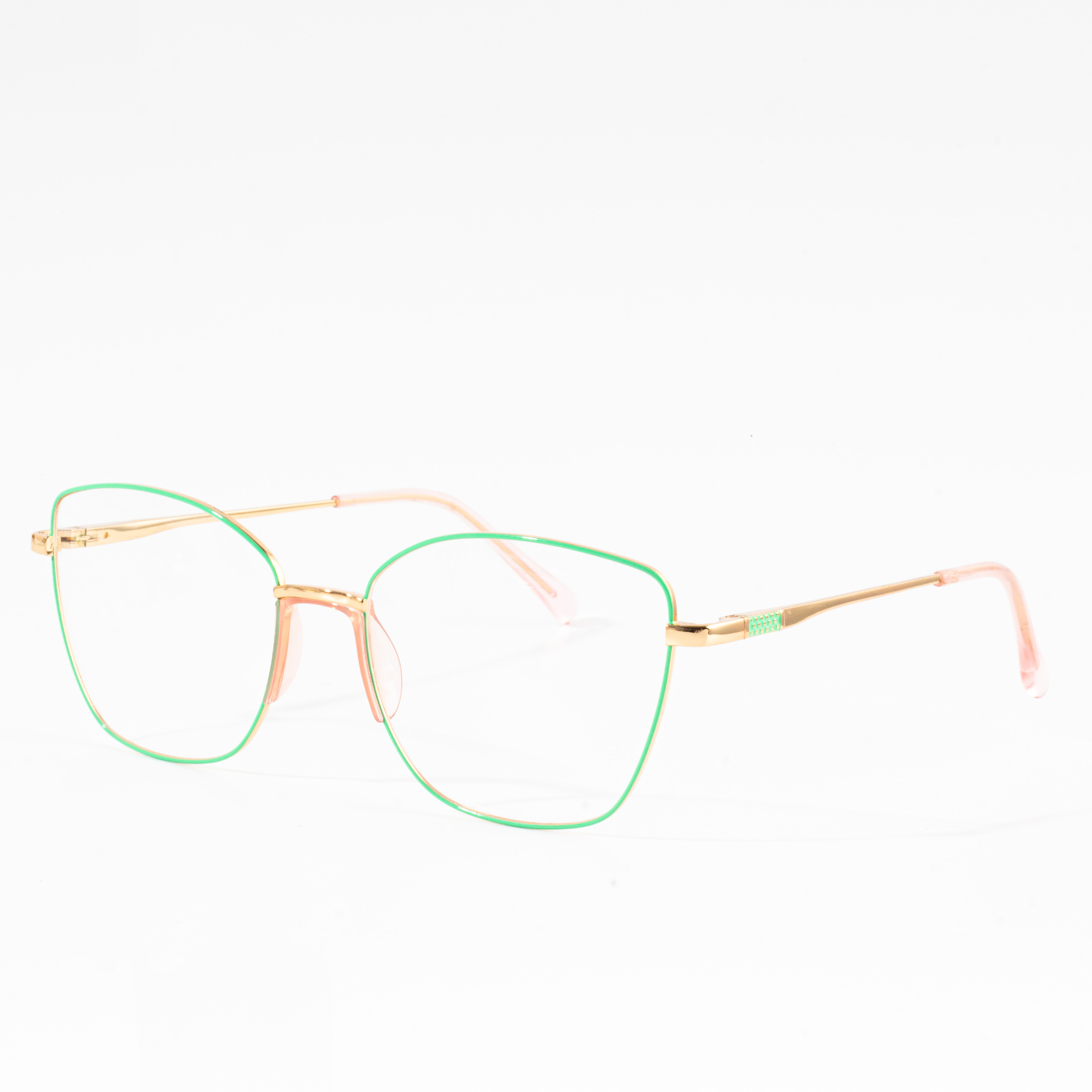 women’s steel eyeglass frames