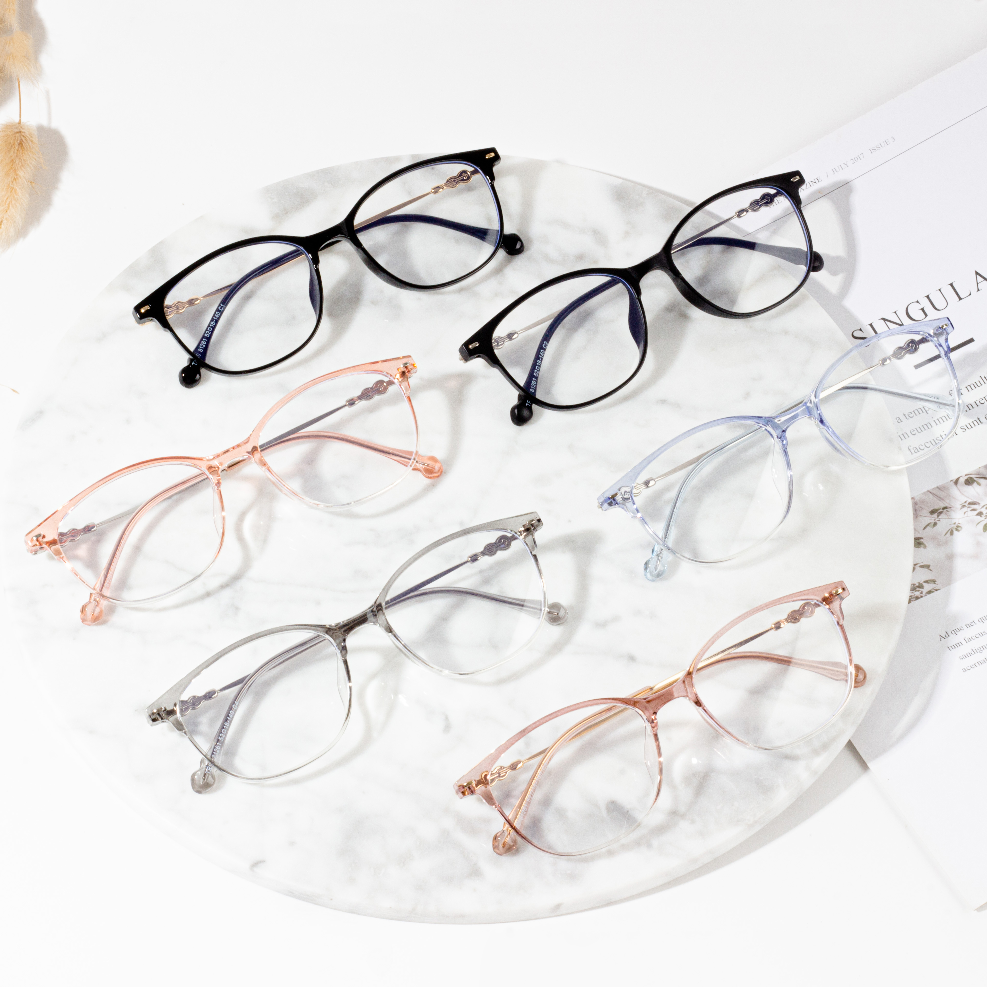 Wholesale TR Spectacle