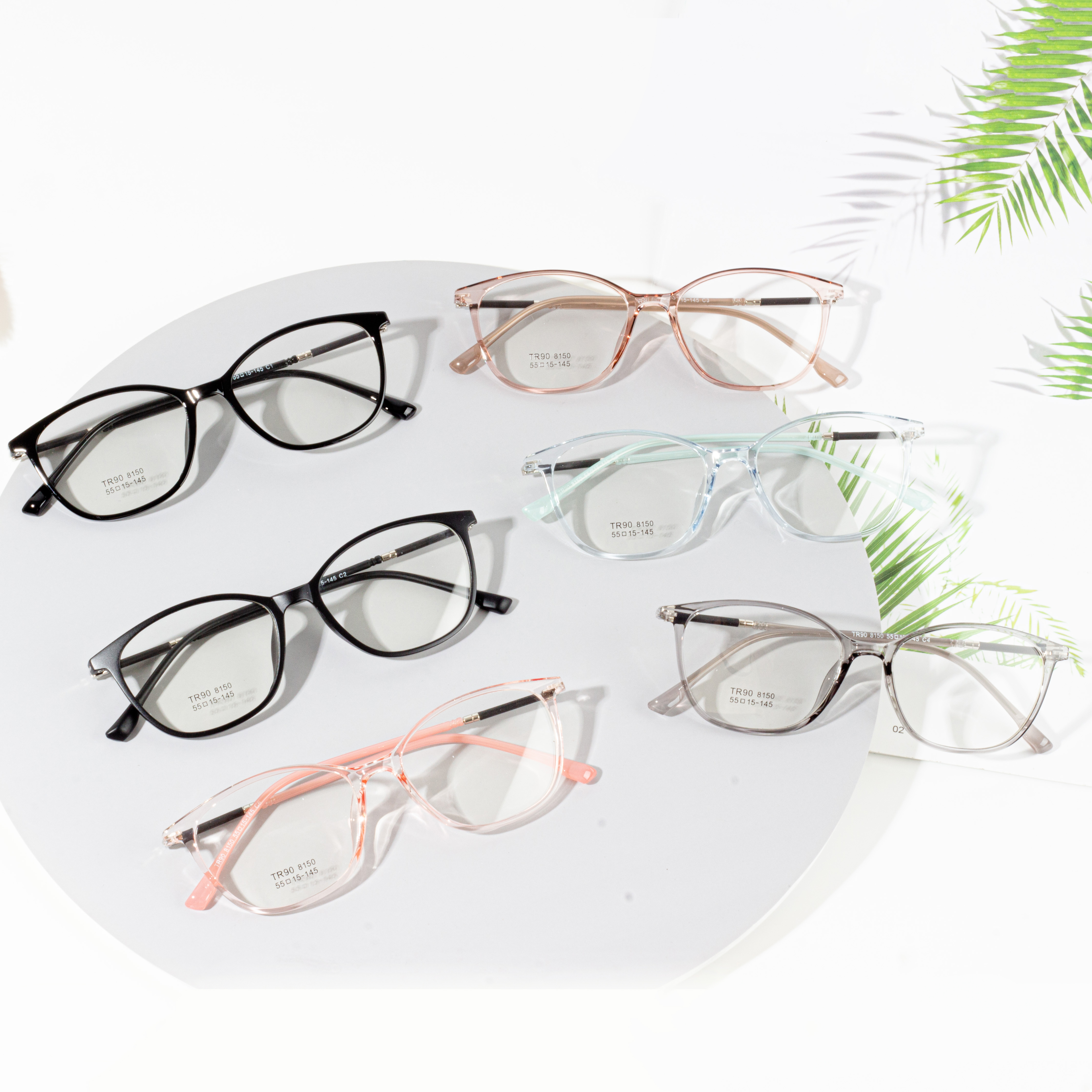 TR 90 Anti-blue Light Transparent Glasses