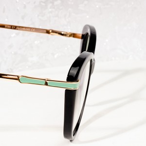 classic popular eyeglasses frames