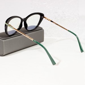 classic popular eyeglasses frames