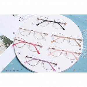 Metal Spring Hinge Cat Eye Glasses Frames