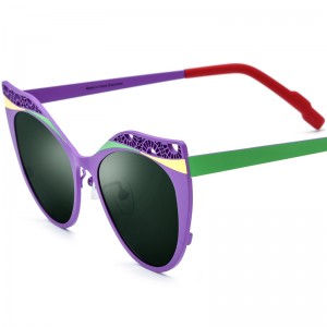 Color pure titanium sunglasses